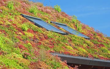 Terrington living roof systems