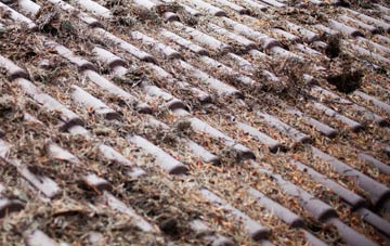 Terrington roof cleaning companies